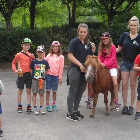Zecamping 3 Anime Piscine A 1Km De La Plage Dog Friendly Club Enfant
